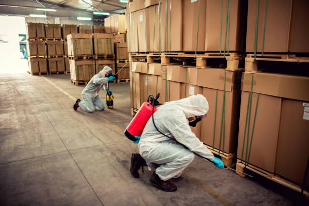 Best Ant Control Services  in Biltmore Forest, NC