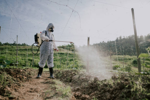 Best Best Pest Control Companies  in Biltmore Forest, NC