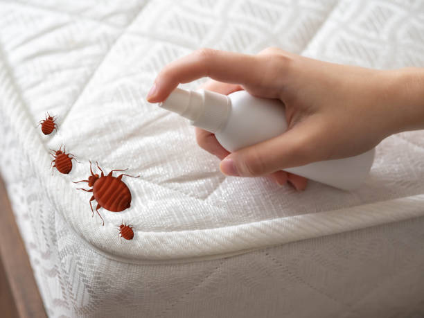  Biltmore Forest, NC Pest Control Pros