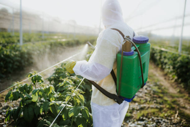Best Bed Bug Extermination  in Biltmore Forest, NC